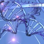 dna-structure