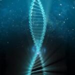 dna2