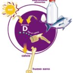 vitamina-d