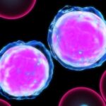 Leukemia