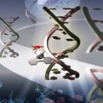 citosyn methylation