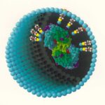 la struttura teorica di un enzima