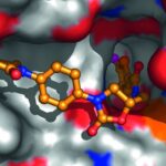 rivaroxaban