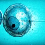 assisted_reproduction