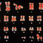 genoma