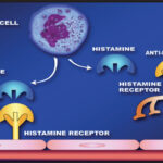 diagramma-antistaminici