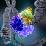 riparazione_dna