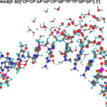 DNA_FRAGMENT