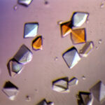 alpha_amylase