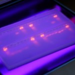DNA_sample