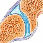 soft_tissue