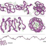 Un diagramma struttaurale della  ragnatela