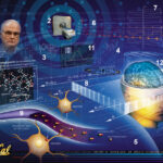 fmri_wheeler