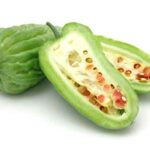 il melone amaro