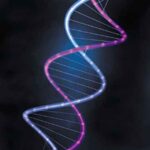gene