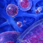 stem-cells