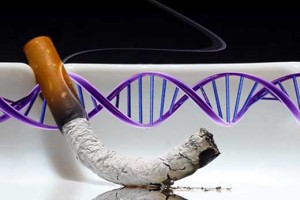 smokingene 300x200 Fumo: effetti devastanti sullintegrita del patrimonio genetico