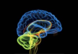 alzheimer 300x207 Alzheimer: buone dosi di vitamina B per ridurre latrofizzazione del cervello