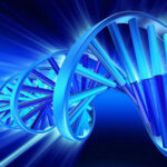 dna