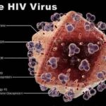 HIV-Virus