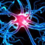 Parkinson-disease