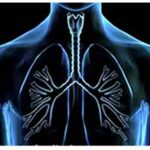 Pulmonology