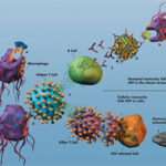 aidsVaccine