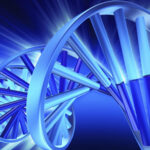 dna