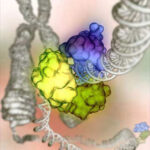 dna-genes