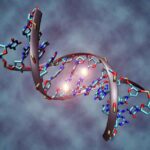 methylated_DNA_hires