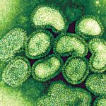 H1N1