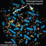 chromotripsis