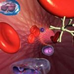 blood-nanoparticle