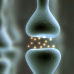 dopamine