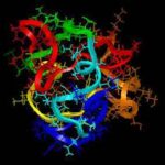 Tat_Structure
