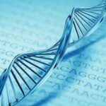 gene