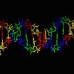 genetic_test