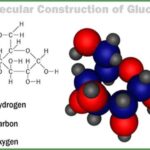glucose-molecule