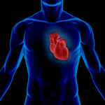 genes_cardiac