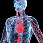 pressione_arteriosa