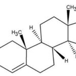 TESTOSTERON