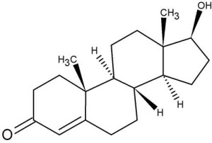 Testosterone 300x202 Testosterone: un crollo dei livelli anche nei neo papà