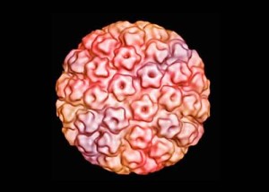 cancro cervice hpv 300x214 Vaccino contro il cancro alla cervice: anche basse dosi offrono unadeguata protezione