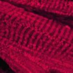 stem_cells_cardiomiociti