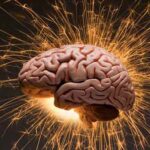 broca_test
