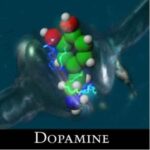 DOPAMINA