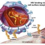 HIV