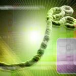ebola-virus