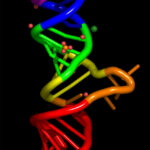 rna