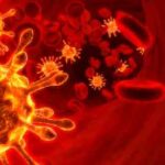 h5n1